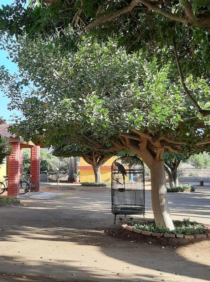 A Pousada Rancho El Campanario En La Ruta Del Vino Valle de Guadalupe Exterior foto